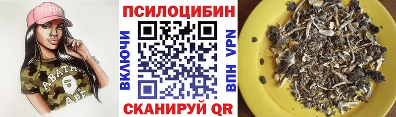 Псилоцибиновые грибы Cubensis  Купить где  Алагир 